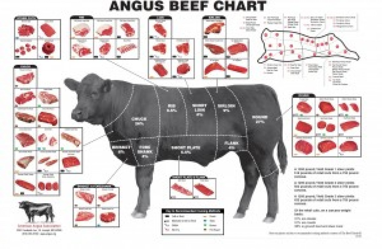 Angus lança novo padrão de certificação de carne premium